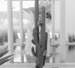 planeación de eventos en Los Cabos