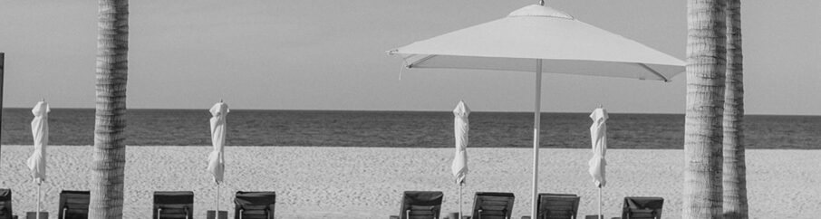 destination - wedding - cabos